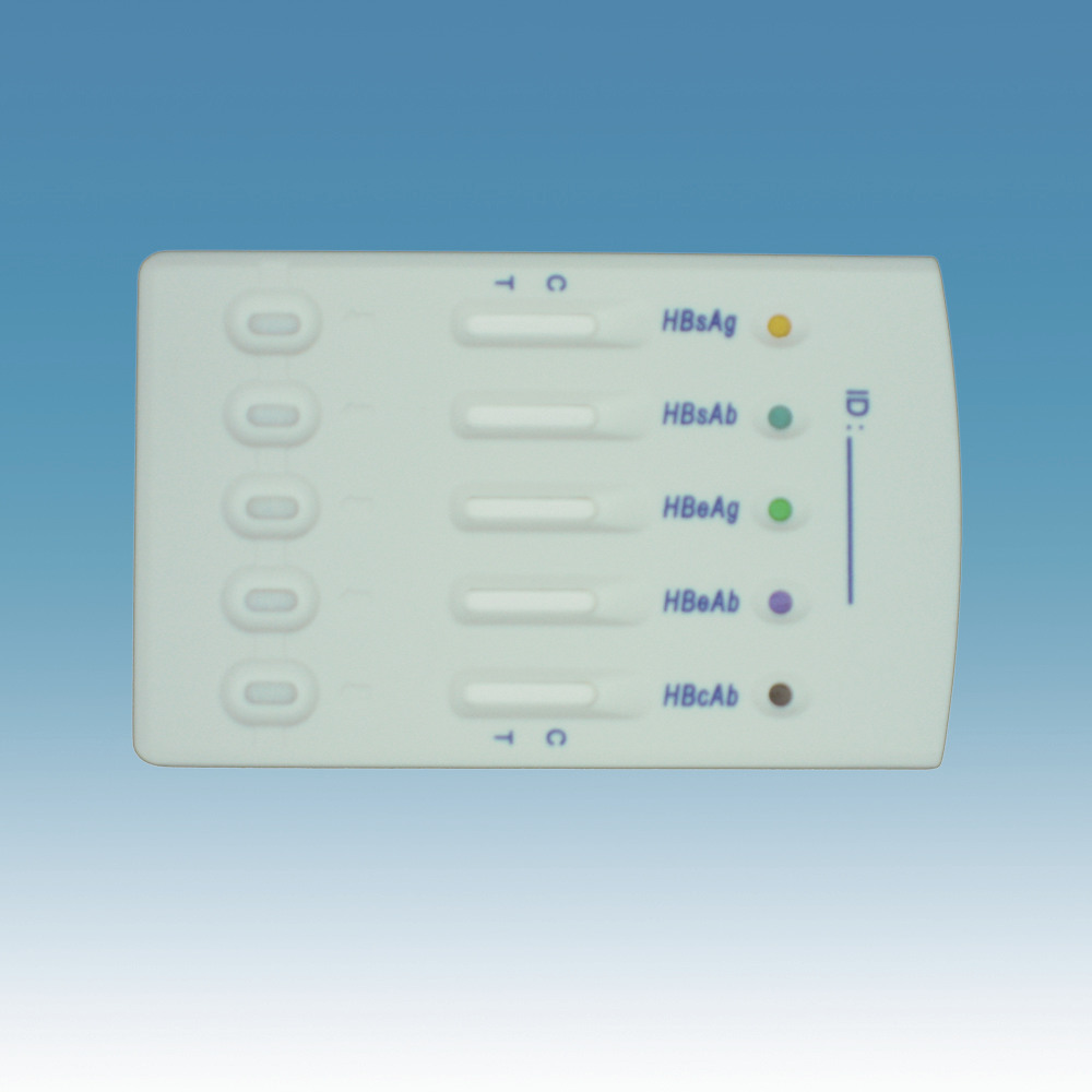 HBV Multi-5 Test Panel (HBV 5 Panel-260)